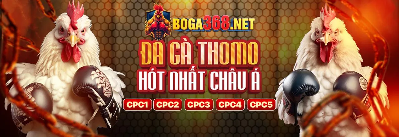 Blog win365 – Cổng thông tin chính thức về cá cược trực tuyến