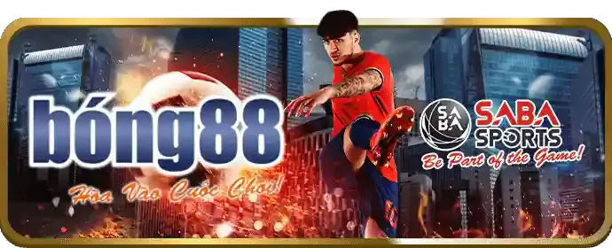 Hỗ trợ tiếp thị chuyên nghiệp